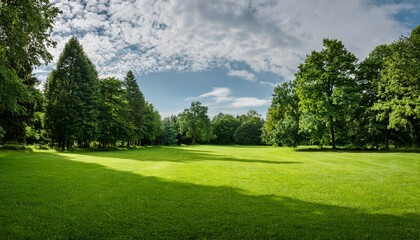 lush green lawn nestled between towering trees under a partly cloudy sky a serene idyllic summer scene