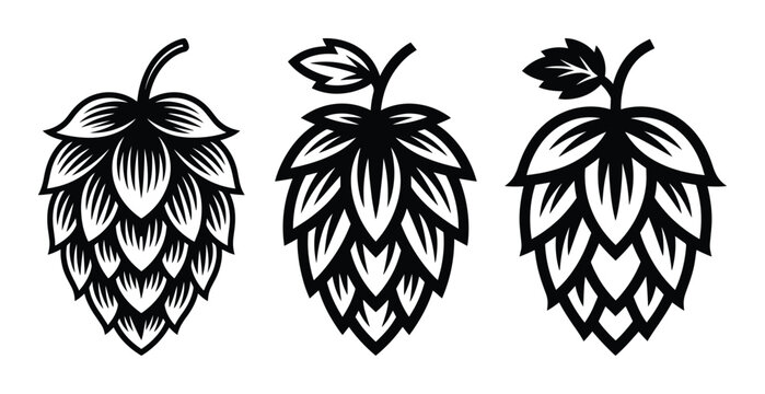 Hop cones, Hops flower silhouette, Beer hops flower icon, designed for use as logos, labels, or decorative elements related to breweries or pubs