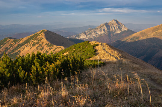 View of sun-kissed peaks and golden meadows under a blue sky, the landscape revealing the rugged beauty of the mountains, Chleb, Zilina Region, Slovakia.