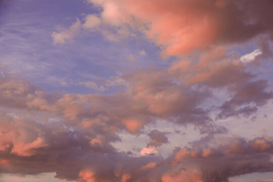 Evening sky with pink clouds against a blue backdrop