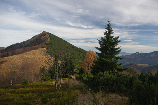 View of a striking mountain ridge dividing autumn's golden hues from evergreen forests under a wispy sky, Mala Fatra, Zilinsk&Atilde;&frac12; kraj, Slovakia.