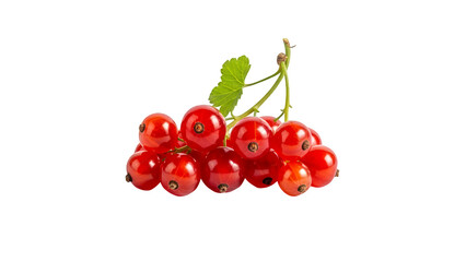 Fresh Red Currant Bunch with Green Leaf isolated on Transparent Background