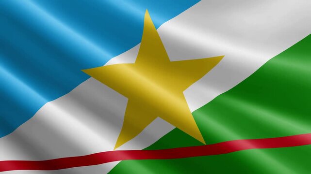 Roraima state of Brazil Waving Flag Animation with Realistic Silk Texture Loop