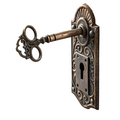 Antique Ornate Skeleton Key in Brass Lock Plate