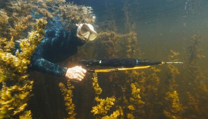 Woman with speargun swims in the lake with freshwater weed