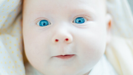 Close up portrait of the newborn boy (2 months old) with deep blue eyes in the bright white room