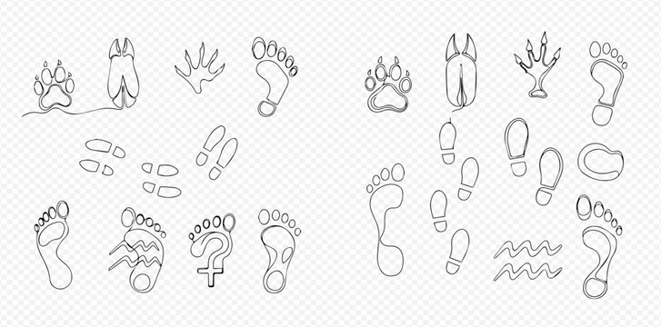 Set of various animal paw prints, human footprints, and shoe tracks in continuous line art style.