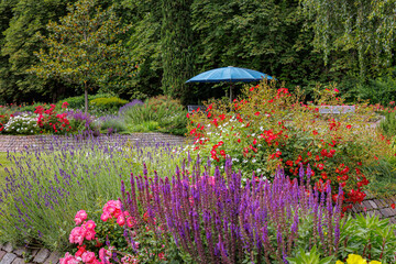 Colorful Flowers Bloom in a Garden With a Blue Umbrella Near the Greenery at Midday in Summer