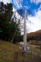 諏訪大社　前宮一之御柱