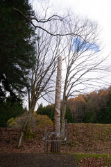 諏訪大社　前宮四之御柱