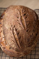 Freshly baked artisan sourdough bread cooling on rack in bright kitchen