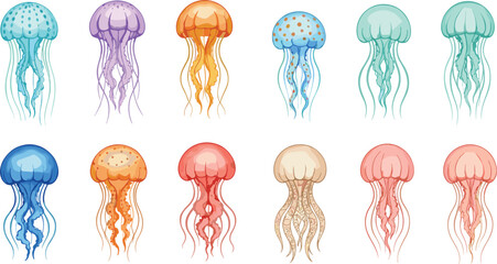 Set of colorful jellyfish characters with floating tentacles in various translucent shades including blue pink orange and purple isolated on white background © Hosneara