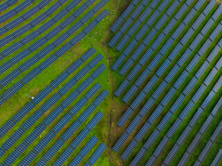 Rows of solar panels capture sunlight in a green field showing renewable energy efforts during daytime