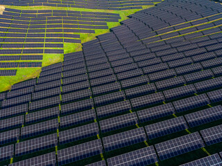 Solar panels cover a large area in a renewable energy field during a sunny day in an agricultural region with green grass visible around the installation
