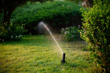 Automated garden irrigation ensures uniform moisture distribution, keeping outdoor plants consistently hydrated. Self-regulating irrigation technology. Sprinkler system operates in evening.