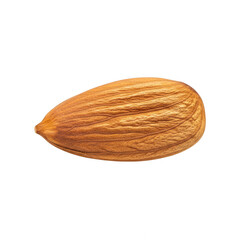 Single brown almond on white background isolated on transparent background