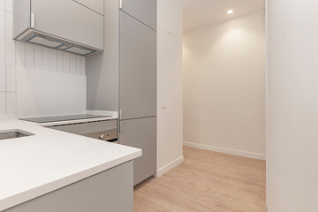 an apartment kitchen with matte white cabinet fronts, integrated appliances, and a multifunctional...