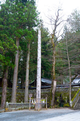 諏訪大社　本宮一之御柱