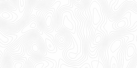 Minimal Lines Topographic contour lines grid map seamless pattern. Minimal Lines Topographic contour lines grid map seamless pattern. Background of the topography map with lines.