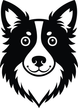 Detailed black and white Border Collie dog face portrait vector illustration for pet breed canine agility and animal rescue design concepts isolated on white