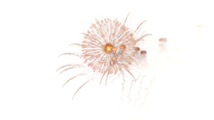 A vibrant Whisk-like firework explodes in the night sky with dynamic orange and white sparks flying outward rapidly.