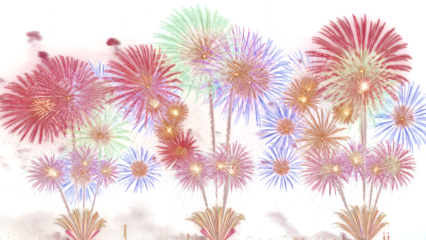 Vibrant fireworks explode in a colorful display of lights and flowers at night
