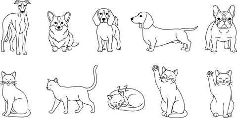 Fototapeta premium Vector Line Art Set of Popular Cat and Dog Breeds Featuring Greyhound Corgi Beagle Dachshund and French Bulldog in Various Poses Including Sitting Walking Sleeping and Waving