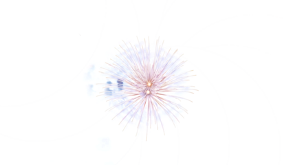 A vibrant firework explodes in the night sky with colorful Whisk_cf11d75c15dfd459d4643b40bc46d390dr sparks.
