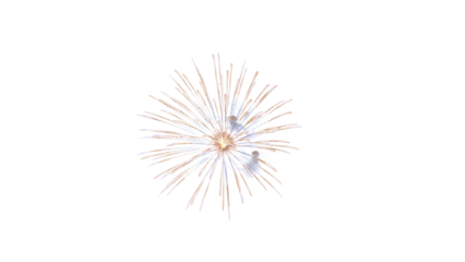 Vibrant firework explodes in evening sky with colorful sparks flying outward rapidly