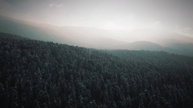 Bolu Drone Kar orman