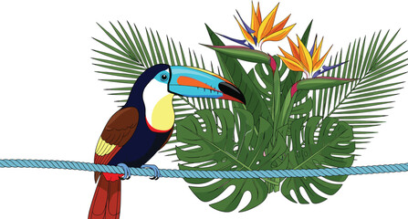 Obraz premium Colorful Tropical Toucan Bird Perched on Blue Rope with Lush Monstera Leaves and Bird of Paradise Flowers Isolated on White Background for Exotic Nature Design