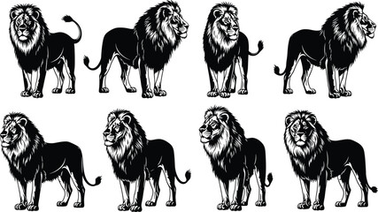 Lion illustration set, black and white drawing, vintage ink style, majestic animal poses, wild cat artwork, detailed mane, powerful stance © It's Sahed
