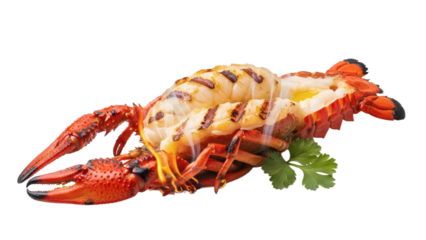 A vibrant grilled lobster with a garnish isolated on a dark background