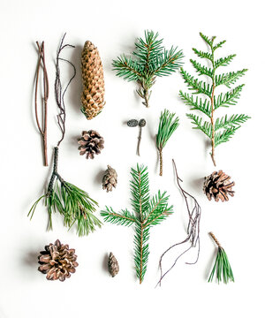 Scandi Christmas nature arrangement with pine cones
