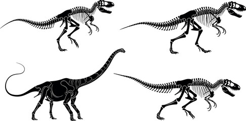 Detailed Black Silhouette Illustration of Dinosaur Skeleton Vectors Including Tyrannosaurus Rex and Long Neck Sauropod Isolated on a White Background © MD Anas