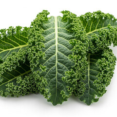 Fresh kale leaves on white background