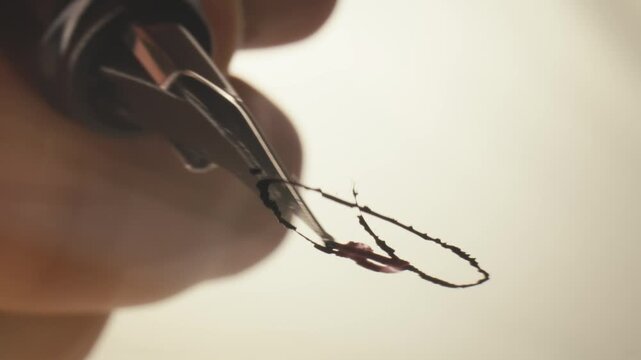 Fountain pen write letter, document sign on an antique handwritten letter. Vintage nib pen and handwritten english cursive style font copperplate, spencerian. Old history background. Retro style.