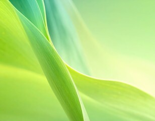 Fototapeta premium Soft Green Leaf Patterns with Blurred Background in Nature Setting