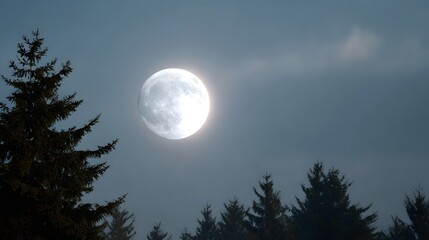 A luminous full moon shines brightly through a hazy night sky casting a soft glow over the silhouettes of pine trees