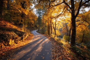 Golden leaves line a winding road in a forest during autumn afternoons as sunlight filters through trees