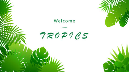 Vector drawn tropical leaves of vibrant green color on white background. Bright colorful isolated corner frame of different palm leaves. Horizontal HD banner mockup with copy space. © e-salamander