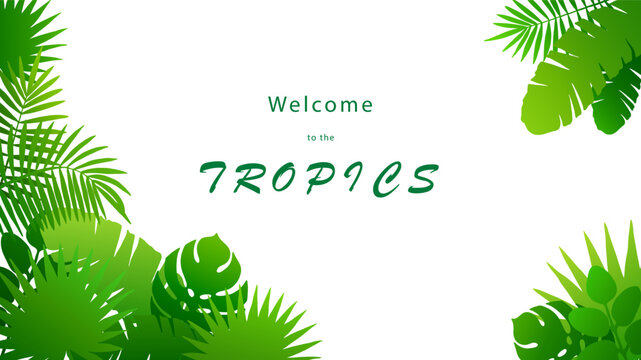 Vector drawn tropical leaves of vibrant green color on white background. Bright colorful isolated corner frame of different palm leaves. Horizontal HD banner mockup with copy space.