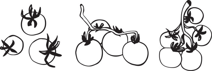 Hand-drawn illustration tomatoes in various arrangements. The illustration features three clusters of tomatoes with distinct shapes and sizes.
