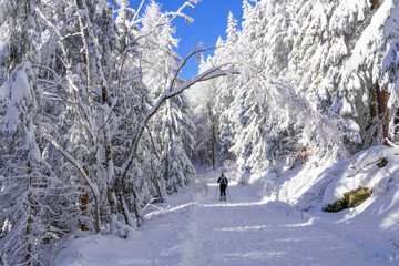 Winterlandschaft am Ochsenkopf im Fichtelgebirge