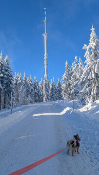 Seilbahn am Ochsenkopf S&uuml;d in Fleckl Fichtelgebirge Winter