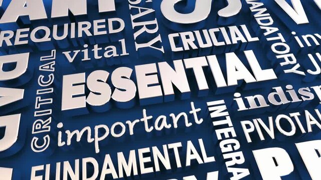 Essential Important Vital Crucial Critical Words 3d Animation