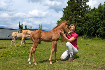 Young woman playing with baby horse foal, crouching near