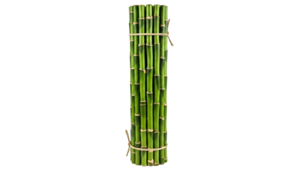Vibrant green bamboo stalks neatly bundled together with natural twine, perfect for ecofriendly home decor, gardening projects, or tropical spa and wellness themes