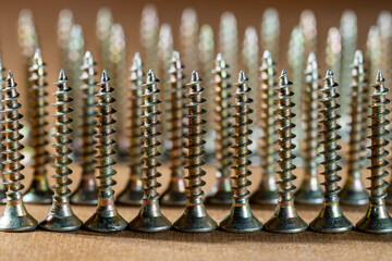 Macro shot of golden self-tapping screws arranged in rows on wooden surface. Focus on construction, repair, tools and equipment.