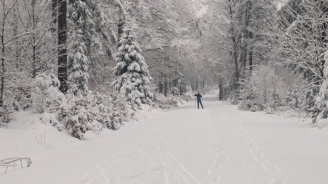 Winterwald